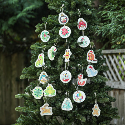 Frog - Pop up Sponge (Holiday Exclusive)