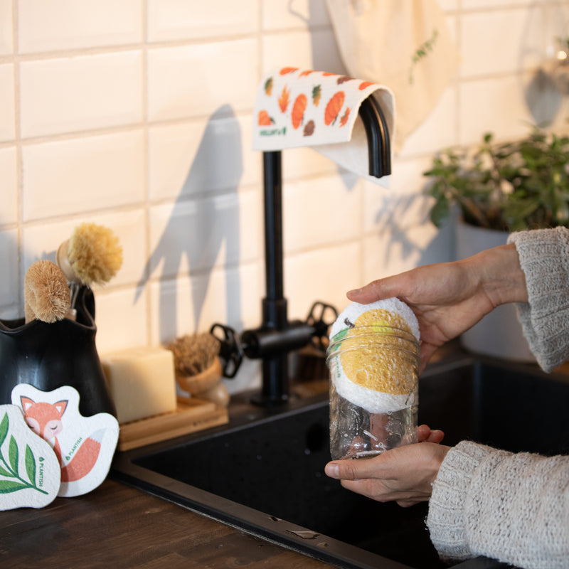 Set of 3 Bestselling Pop up Sponges + Hook