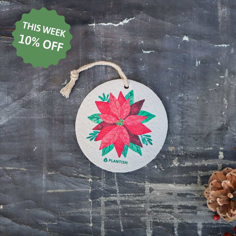 Poinsettia - Pop up Sponge (Holiday Exclusive)