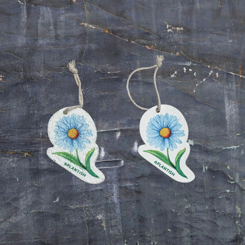 A top-view comparison showing the Blue Daisy pop-up sponge in dry versus wet states. On the right: the sponge appears flat and compact in its dry form. On the left: it has expanded into a thicker cleaning pad after hydration. Both clearly display the charming blue daisy pattern and feature an attached hanging string. Photographed against a dark grey textured background, this eco-friendly kitchen cleaner demonstrates remarkable size expansion when water is absorbed.