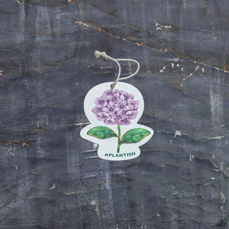 Top view of an eco-friendly cellulose pop-up kitchen sponge with hanging cord, featuring a lovely purple hydrangea design. This sustainable cleaning tool lies completely flat when dry for compact storage, then expands significantly when wet for optimal absorbency. Crafted from biodegradable plant-based cellulose, the sponge showcases a beautiful floral pattern that adds elegance to your kitchen while being gentle on the environment. 