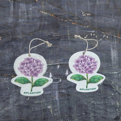 A top-view comparison showing the Purple hydrangea pop-up sponge in dry versus wet states. On the right : the sponge appears flat and compact in its dry form. On the left: it has expanded into a thicker cleaning pad after hydration. Both clearly display the charming Purple hydrangea pattern and feature an attached hanging string. Photographed against a dark grey textured background, this eco-friendly kitchen cleaner demonstrates remarkable size expansion when water is absorbed.