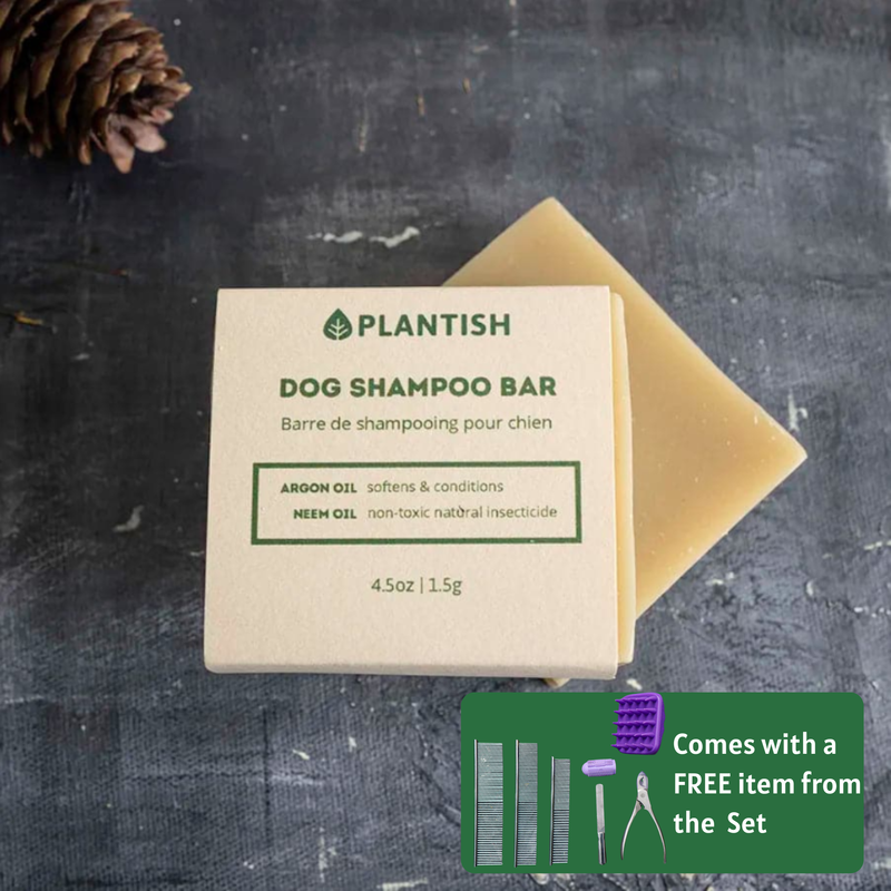 Dog Shampoo Bar