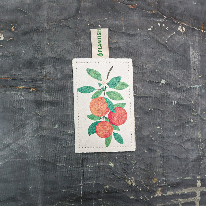 Orange - NEW Eco Sponge