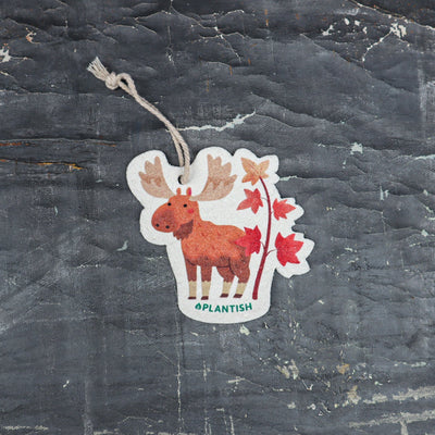 Top view of an Autumn Moose eco-friendly cellulose pop-up kitchen sponge with hanging cord, featuring a charming red moose beside a maple tree design - lying flat when dry and expanding when wet for seasonal cleaning with natural charm.