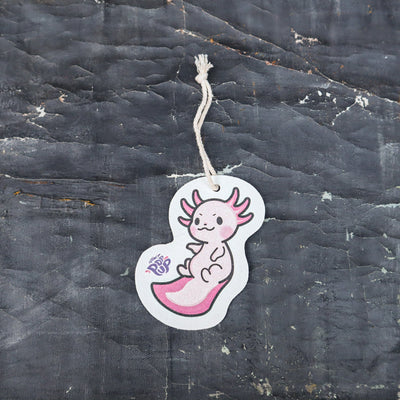 Set of 2 Cute Axolot Pop Up Sponges