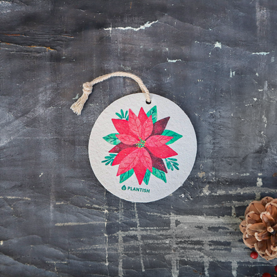 Poinsettia - Pop up Sponge (Holiday Exclusive)