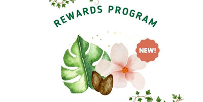 Wholesale Rewards Program