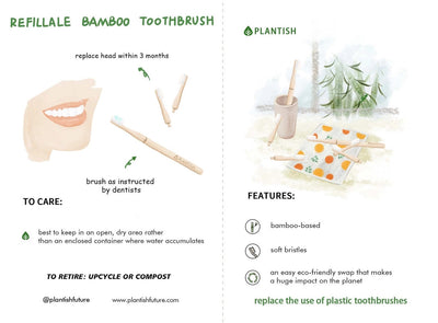 [BUY BULK] Refillable Bamboo Toothbrush (Canada only)