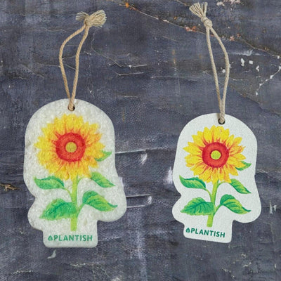 Two sunflower sponges side by side – one dry (flat and compact) and the other wet (fully expanded and plush), showcasing their vibrant yellow sunflower and green leaf design in both states.