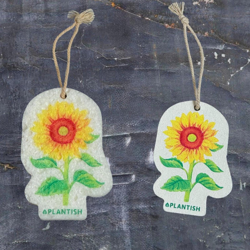 Two sunflower sponges side by side – one dry (flat and compact) and the other wet (fully expanded and plush), showcasing their vibrant yellow sunflower and green leaf design in both states.