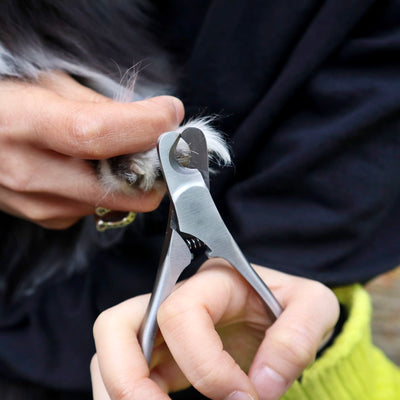 A pet nail clipper that is Suitable for all pet nails