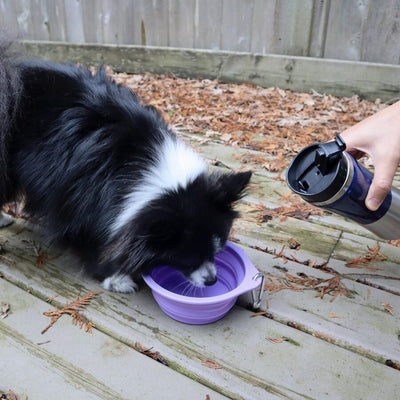 Enhance your puppy's oral health with our specially crafted Pet Slow Feeding Set. This set includes a collapsible drinking bowl, a textured licking plate for slower eating, and an anti-slip feeding mat to catch leftovers and simplify cleaning.