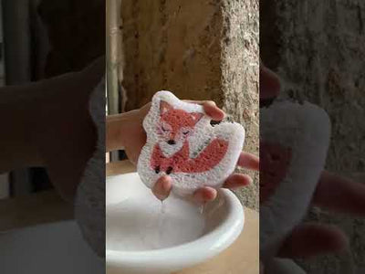 Set of 3 Bestselling Pop up Sponges + Hook
