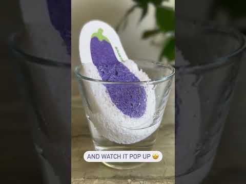 Video of eggplant pop up sponge absorbing water in cup.