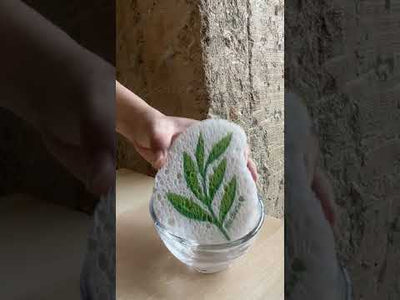 Video of hand soaking an eco friendly eucalyptus pop up sponge and expanding in water.