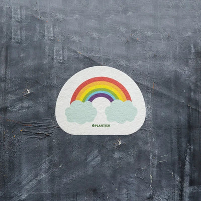 Rainbow Cloud - Pop up Sponge