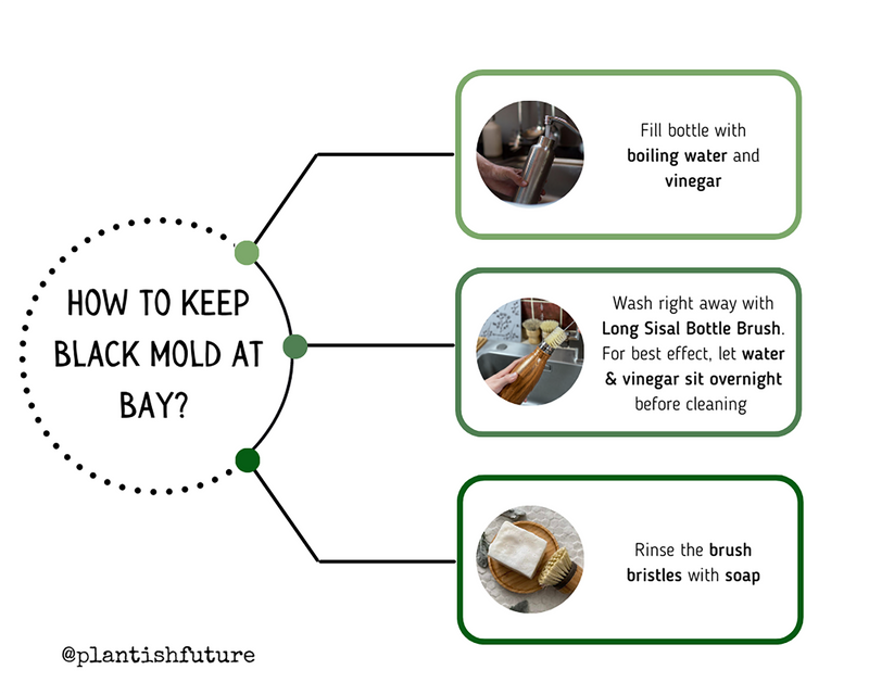 Graphic showing How to Keep Black Mold At Bay