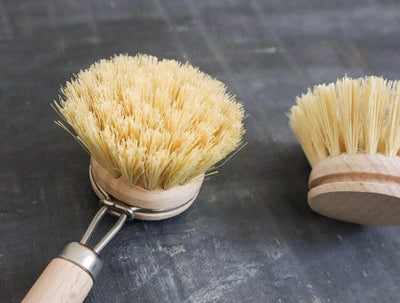 Plantish Future Home & Kitchen Sisal Dish Brush Refill